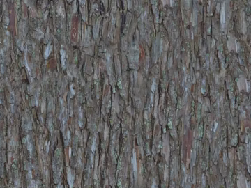 bark texture (ID:ffaag92262)