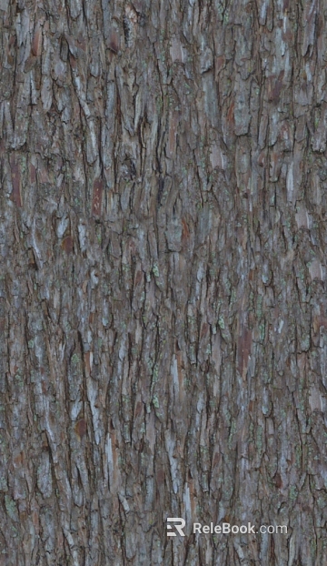 bark texture