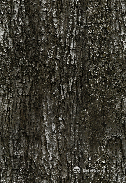 ancient tree bark texture
