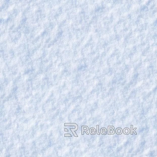 Snow texture