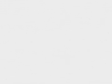Black and white wood grain texture (ID:ffaag52021)