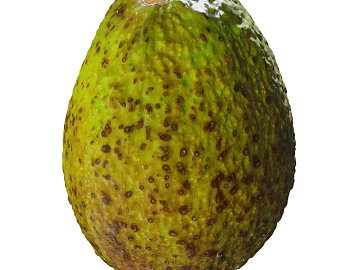 Fruit PBR texture (ID:ffach447981)