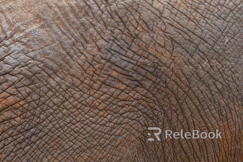 animal skin texture