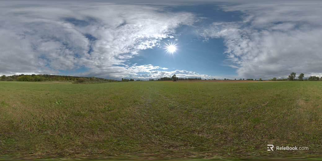 Outdoor Lawn Forest HDR texture