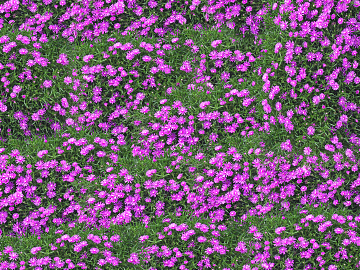 Flowers texture (ID:ffaeg06008)