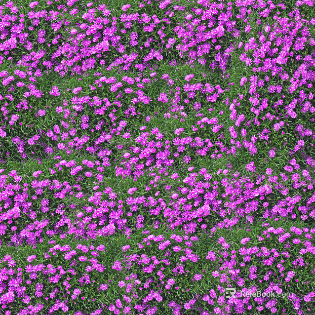 Flowers texture