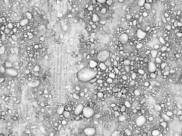Black and White Bump texture (ID:ffaag92760)