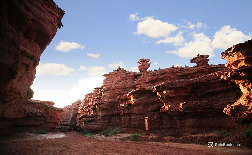 Wild Scenery texture
