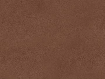 fine grain leather texture (ID:ffagg34343)