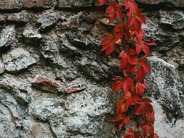 mountain rock wall texture (ID:ffagg70538)