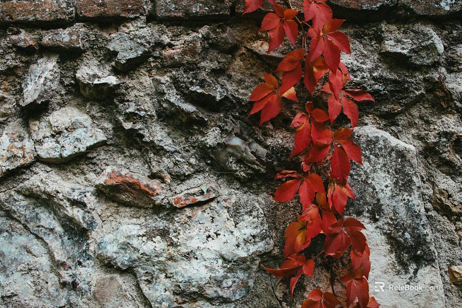 mountain rock wall texture