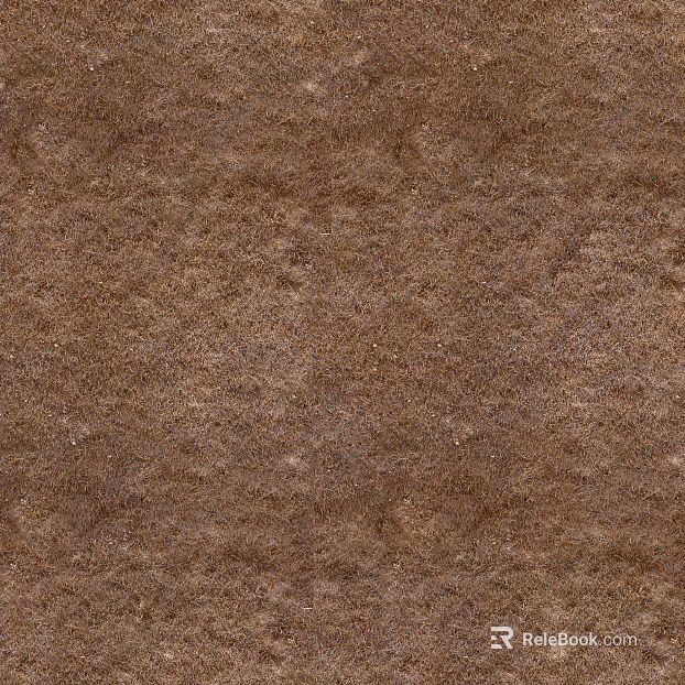 Grassland flowers hay ground texture