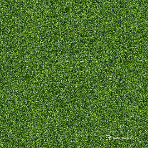 Lawn texture