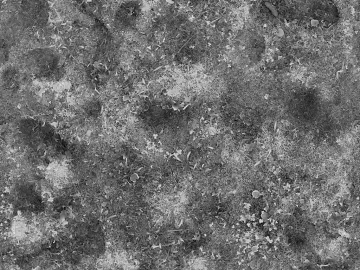 Black and White Bump texture (ID:ffacg72921)