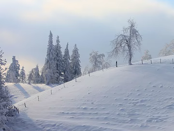 Snow 3d model