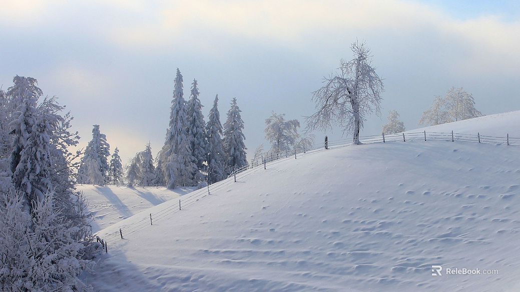 Snow texture
