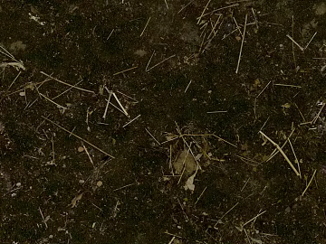 Sand 3d model