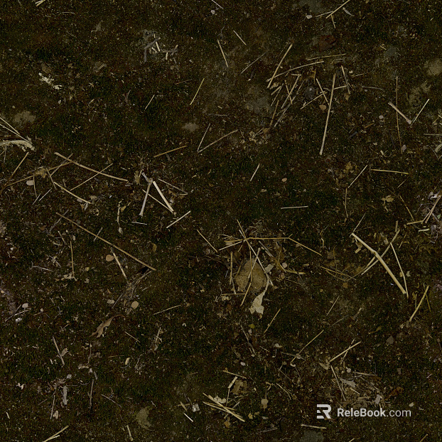 Sand texture