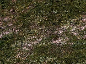 mountain rock ground grassland forest texture (ID:ffach507638)