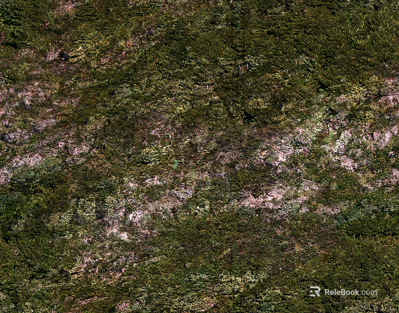 mountain rock ground grassland forest texture