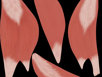 Pink white animal hair decoration elements texture (ID:ffaeh769089)