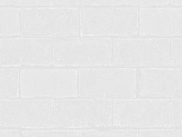 Black and White Bump texture (ID:ffach531145)