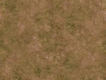Grassland texture (ID:ffaeg08403)