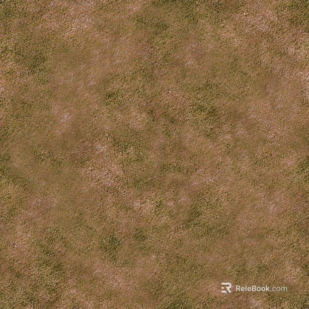 Grassland texture