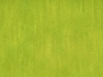 Mud texture (ID:ffagf1598)