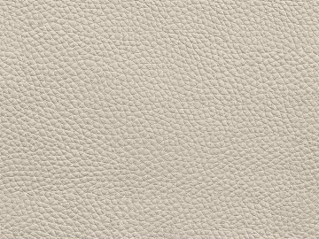 Coarse-grain leather texture (ID:ffacg86291)