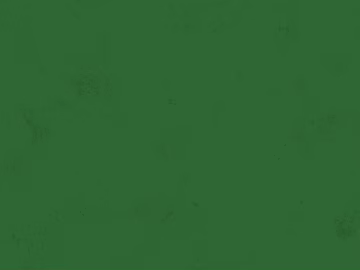 latex paint texture (ID:ffacg67755)