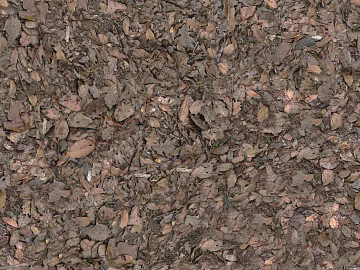 Turf ground texture (ID:ffaaf9328)