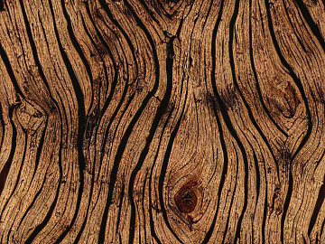 old wood seamless texture (ID:ffabg97884)