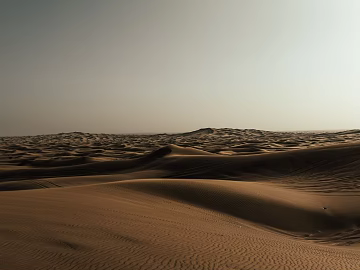 Desert texture (ID:ffabg68307)