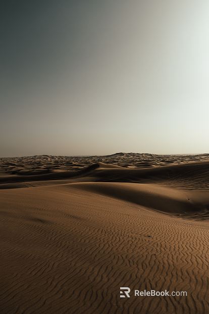 Desert texture