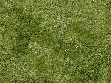 Turf texture (ID:ffacg30394)