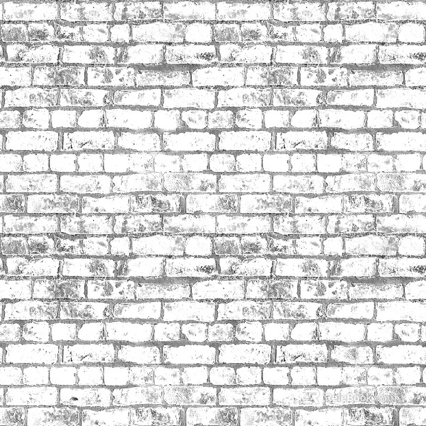 Black and White Bump texture