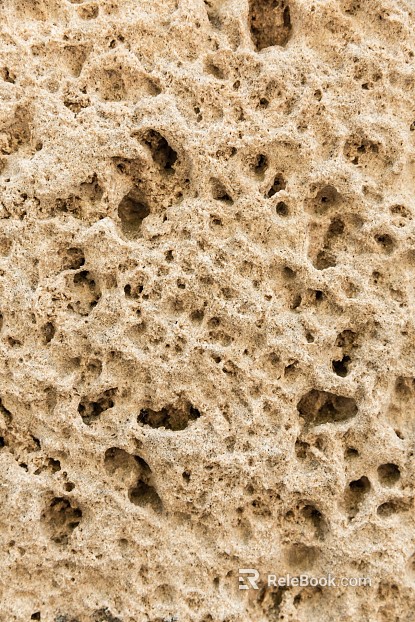 Dongshi texture