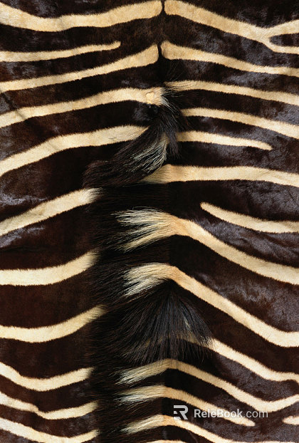 animal skin texture