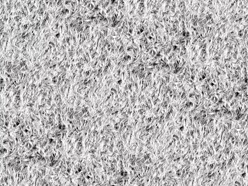 Plain pattern carpet 3d model