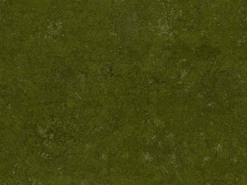 Turf texture (ID:ffach533216)