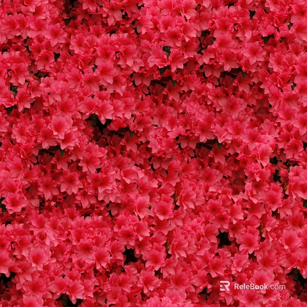 Flowers texture
