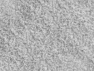 Black and White Bump 3d model