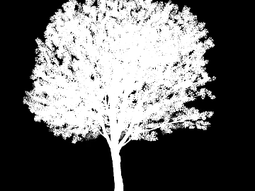 Plant Black and White Map texture (ID:ffaef2221)