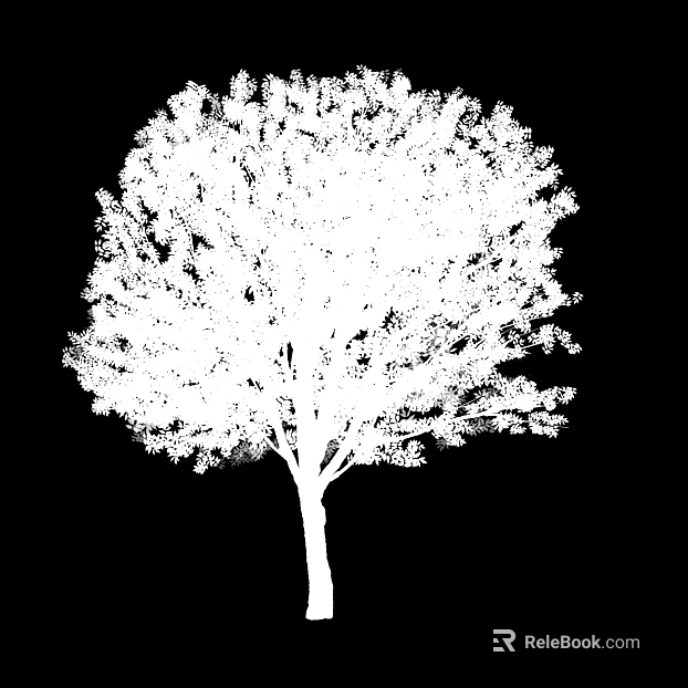 Plant Black and White Map texture