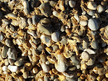 Pebbles texture (ID:ffabg03500)