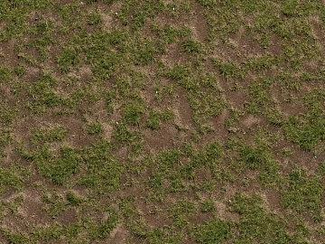 Lawn texture (ID:ffach528086)
