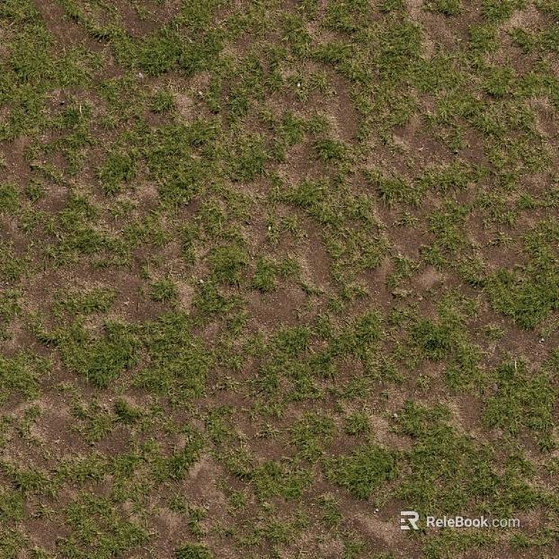 Lawn texture