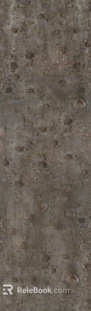 bark texture
