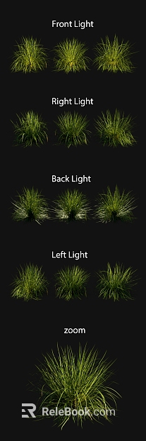 Green grass outdoor ground material texture